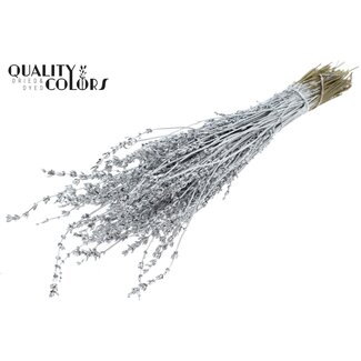 QC Gedroogde Lavendel | Kleur: Metallic Zilverkleurig | Lavendel Droogbloemen | Lengte ± 50 centimeter | Per bos