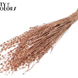 QC Getrockneter Lavendel | Farbe: Metallic Kupferfarben | Lavendel Trockenblumen | Länge ± 50 Zentimeter | Pro Bund