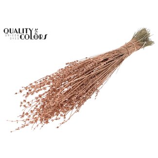 QC Dried Lavender | Colour: Metallic Copper | Lavender Dried Flowers | Length ± 50 centimetres | Per bunch