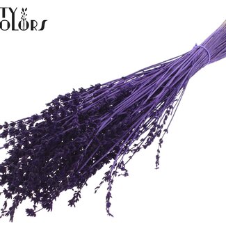 QC Lavande Séchée | Couleur : Violet | Fleurs Séchées de Lavande | Longueur ± 50 centimètres | Par bouquet
