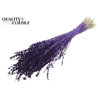 QC Gedroogde Lavendel | Kleur: Paars | Lavendel Droogbloemen | Lengte ± 50 centimeter | Per bos