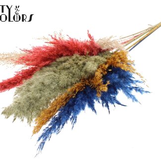 QC Dried Pampas Plumes “Colourful 6” | Colour: Mixed Colours | Pampas Dried Flowers | Length ± 100 centimetres | 5 plumes per bunch | Per bunch