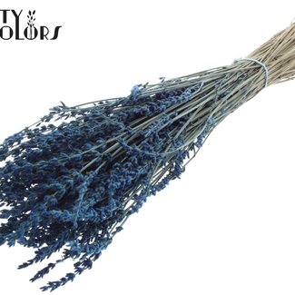 QC Gedroogde Lavendel | Kleur: Super Blauw | Lavendel Droogbloemen | Lengte ± 50 centimeter | Gewicht 100 gram | Per bos