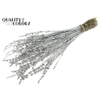 QC Gedroogde Lavendel | Kleur: Metallic Platinakleurig | Lavendel Droogbloemen | Lengte ± 50 centimeter | Per bos
