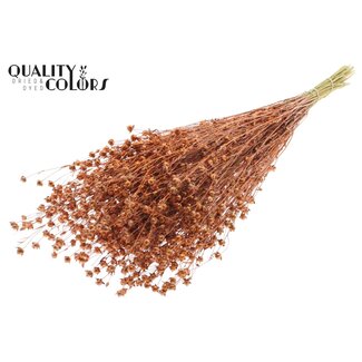 QC Gedroogd Lino Vlas | Kleur: Koperkleurig met Glitter | Linum Droogbloemen | Lengte ± 50 centimeter | Gewicht 150 gram | Per bos