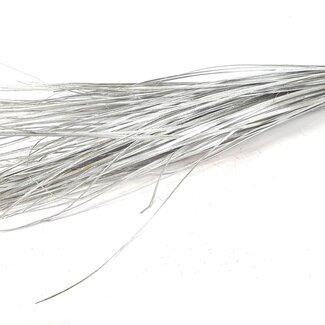 QC Gerade Nervenader des Palmblatts | Farbe: Silberfarben | Straight Ting Ting Trocken-Dekoration | Länge ± 70 centimeter | 5 Zweige pro Büschel | Pro Bund