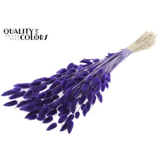 QC Gedroogde Hazenstaartjes Premium | Kleur: Paars | Lagurus Ovatus droogbloemen | Lengte ± 70 centimeter | Gewicht 100 gram | Per bos