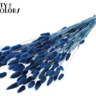 QC Gedroogde Hazenstaartjes Premium | Kleur: Blauw | Lagurus Ovatus droogbloemen | Lengte ± 70 centimeter | Gewicht 100 gram | Per bos