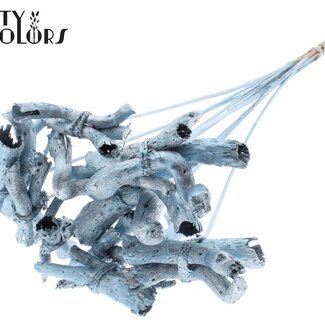 QC Gandiraj Écorces sur tige | Couleur : Bleu Métallique | Gandiraj Piquet décoratif | Longueur ± 50 centimètres | 10 piquets décoratifs par bouquet