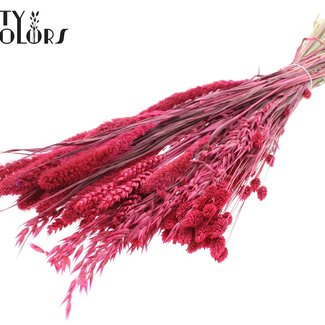 QC Boeket Gedroogde Bloemenmix | Kleur: Kerskleurig | Lengte ± 60 centimeter | Per bos