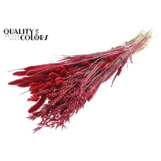 QC Boeket Gedroogde Bloemenmix | Kleur: Rood | Lengte ± 60 centimeter | Per bos