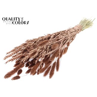 QC Boeket Gedroogde Bloemenmix | Kleur: Koperkleurig | Lengte ± 60 centimeter | Per bos