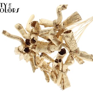 QC Gandiraj Tiges sur tuteur | Couleur : Métallique Doré Antique | Gandiraj Piquet | Longueur ± 50 centimètres | 10 piquets par bouquet