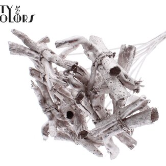 QC Gandiraj Branches on Stick | Colour: Metallic Champagne | Gandiraj Insert Stick | Length ± 50 centimetres | 10 insert sticks per bunch