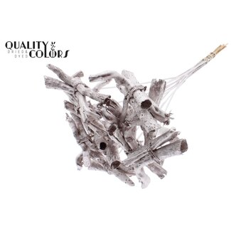 QC Gandiraj Branches on Stick | Colour: Metallic Champagne | Gandiraj Insert Stick | Length ± 50 centimetres | 10 insert sticks per bunch