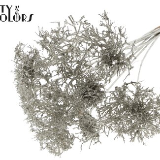 QC Dry Tree on stick | Colour: Metallic Platinum | Dry Tree Stick | Stick length ± 50 centimetres | 10 sticks per bunch