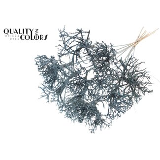 QC Dry Tree on stick | Colour: Light Blue | Dry Tree Stick | Stick length ± 50 centimetres | 10 sticks per bunch