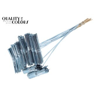 QC Kore bouquet on stem | Colour: Metallic Blue | Kore stem pick | Pick length ± 50 centimetre | 10 picks per bunch