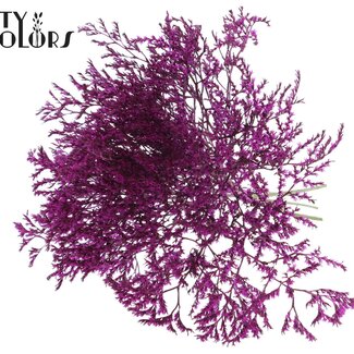 QC Dried Sea Lavender | Colour: Lilac | Limonium Tataricum Dried Flowers | Length ± 30 cm | Weight 45 grams | Per bunch