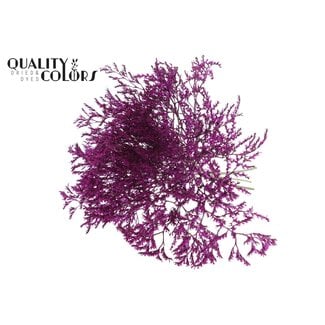 QC Dried Sea Lavender | Colour: Lilac | Limonium Tataricum Dried Flowers | Length ± 30 cm | Weight 45 grams | Per bunch