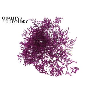 QC Gedroogde Zeelavendel | Kleur: Lilakleurig | Limonium Tataricum Droogbloemen | Lengte ± 30 cm | Gewicht 45 gram | Per bos