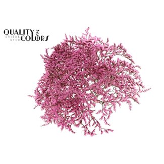 QC Gedroogde Zeelavendel | Kleur: Roze | Limonium Tataricum Droogbloemen | Lengte ± 30 cm | Gewicht 45 gram | Per bos