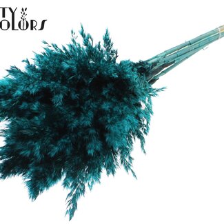 QC Gedroogde Pampas Pluimen | Kleur: Turquoise | Pampas Droogbloemen | Lengte ± 70 centimeter | 10 pluimen per bos | Per bos