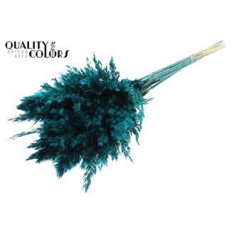 QC Gedroogde Pampas Pluimen | Kleur: Turquoise | Pampas Droogbloemen | Lengte ± 70 centimeter | 10 pluimen per bos | Per bos