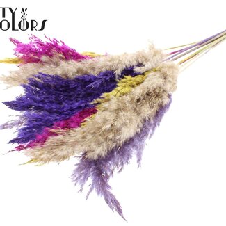 QC Gedroogde Pampas Pluimen “Kleurrijk 11” | Kleur: Gemengde Kleuren | Pampas Droogbloemen | Lengte ± 70 centimeter | 10 pluimen per bos | Per bos