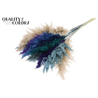 QC Getrocknete Pampaswedel „Scandinavian Mix“ | Farbe: Gemischte Farben | Pampas Trockenblumen | Länge ± 70 Zentimeter | 10 Wedel pro Bund | Pro Bund