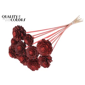 QC Half Pine Cone on Stick | Colour: Coral | Diameter 5 - 7 centimetres | Length ± 50 centimetres | 10 picks per bunch