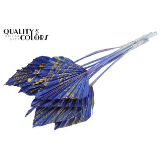 QC Gedroogde Palm Spear | Kleur: Gespetterd Blauw Geel | Palmbladeren in Speervorm | Lengte ± 55 centimeter | 10 takken per bos | Per bos
