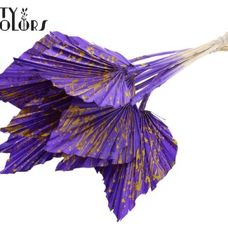 QC Palmier Séché en Lance | Couleur : Moucheté Violet Jaune | Feuilles de Palmier en Forme de Lance | Longueur ± 55 centimètres | 10 tiges par bouquet | Par bouquet