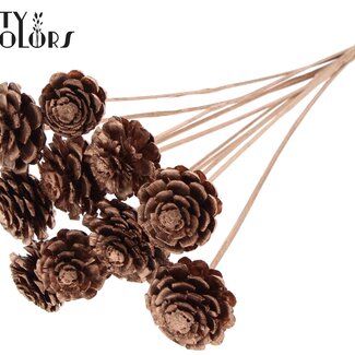 QC Pomme de pin coupée en deux sur bâton | Couleur : Cuivré | Diamètre 5 - 7 centimètres | Longueur ± 50 centimètres | 10 piques par bouquet