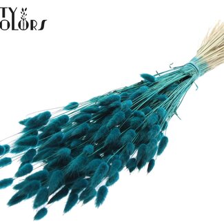 QC Dried Hare's Tails Premium | Colour: Turquoise | Lagurus Ovatus dried flowers | Length ± 60 centimetres | Weight 60 grams | Per bunch
