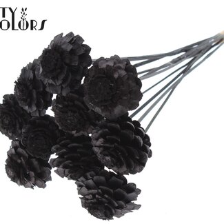 QC Halve Dennenappel op stok | Kleur: Zwart | Diameter 5 - 7 centimeter | Lengte ± 50 centimeter | 10 bijstekers per bos