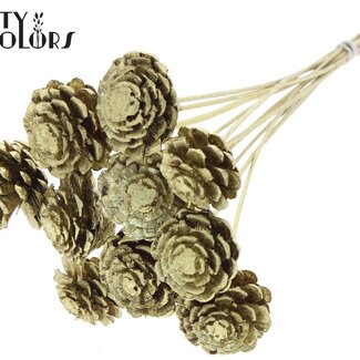 QC Half Pine Cone on Stick | Colour: Gold | Diameter 5 - 7 centimetres | Length ± 50 centimetres | 10 picks per bunch