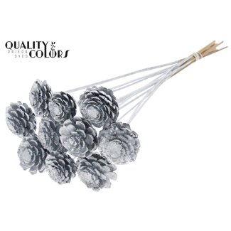 QC Half Pine Cone on Stick | Colour: Silver | Diameter 5 - 7 centimetres | Length ± 50 centimetres | 10 picks per bunch
