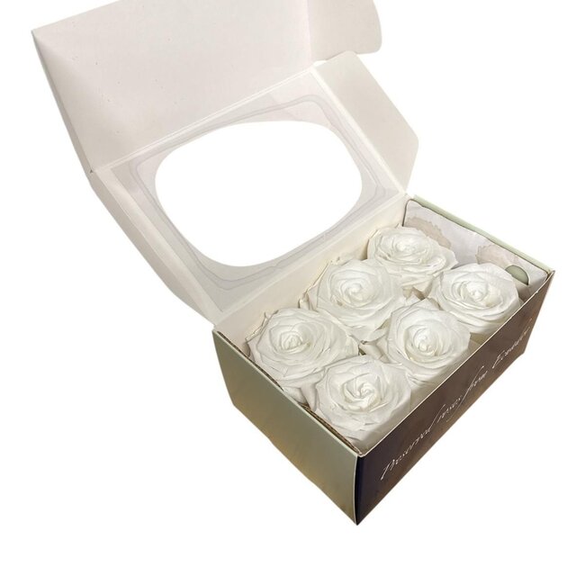 Konservierte Rosenköpfe | Farbe: White Classic | Pro 6 Rosen verpackt