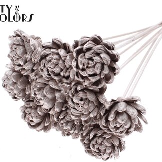 QC Shola Wooden Rose on Stem | Colour: Champagne | Shola New Beauty Rose Stem | Rose Diameter 6 centimetres | Stem Length ± 50 centimetres | 10 stems per bunch