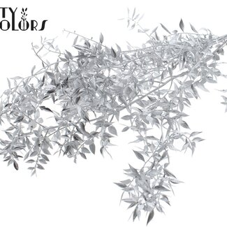 QC Dried Ruscus | Colour: Silver | Ruscus Dried Flowers | Length ± 70 centimetres | 10 stems per bunch | Per bunch