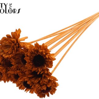 QC Shola Wooden Daisy Sunflower on stick | Colour: Terracotta | Shola Daisy Sunflower Stick | Flower diameter 6 centimetres | Stick length ± 50 centimetres | 10 sticks per bunch