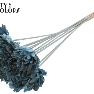 QC Shola Fleurs de Pin sur tige | Couleur : Bleu clair | Shola Tranche de Pin Piquet | Diamètre de la fleur 6 centimètres | Longueur ± 50 centimètres | 10 piquets par bouquet
