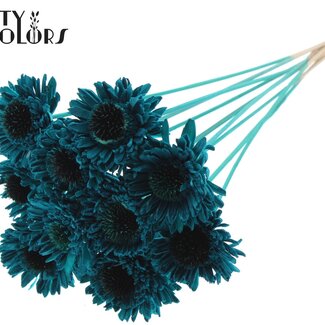 QC Shola Houten Madelief Zonnebloem sur tige | Couleur : Turquoise | Shola Daisy Tournesol Pique-fleur | Diamètre de la fleur 6 centimètres | Longueur du pique-fleur ± 50 centimètres | 10 piques-fleurs par bouquet