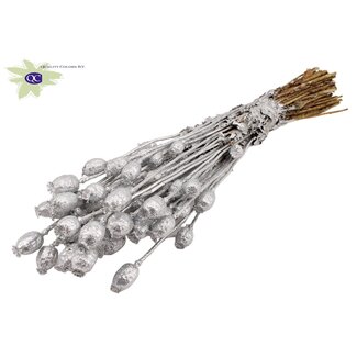 QC Gedroogde Slaapbol | Kleur: Zilverkleurig met Glitter | Papaver Somniferum Droogbloemen | Lengte ± 60 centimeter | Gewicht 200 gram | Per bos