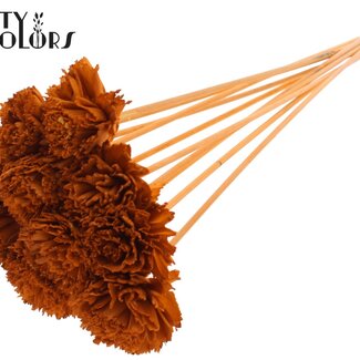 QC Shola Houten Karnish Bloem op stok | Kleur: Terracotta | Shola Karnish Flower Bijsteker | Diameter bloem 6 centimeter | Lengte bijsteker ± 50 centimeter | 10 bijstekers per bos