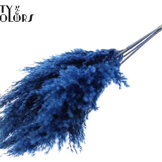 QC Gedroogde Pampas Pluimen | Kleur: Donkerblauw | Pampas Droogbloemen | Lengte ± 100 centimeter | 5 pluimen per bos | Per bos