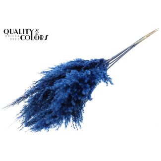 QC Gedroogde Pampas Pluimen | Kleur: Donkerblauw | Pampas Droogbloemen | Lengte ± 100 centimeter | 5 pluimen per bos | Per bos