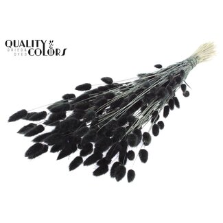 QC Gedroogde Hazenstaartjes Premium | Kleur: Zwart | Lagurus Ovatus droogbloemen | Lengte ± 70 centimeter | Gewicht 100 gram | Per bos