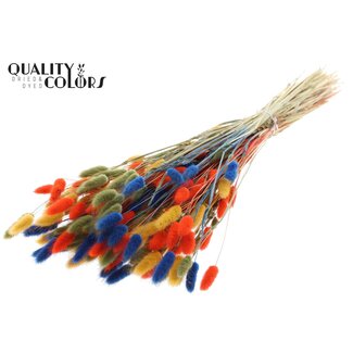 QC Gedroogde Hazenstaartjes Premium | Kleurrijk 6 | Kleur: Gemengde Kleuren | Lagurus Ovatus droogbloemen | Lengte ± 70 centimeter | Gewicht 100 gram | Per bos